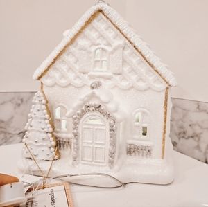 Light up gingerbread house